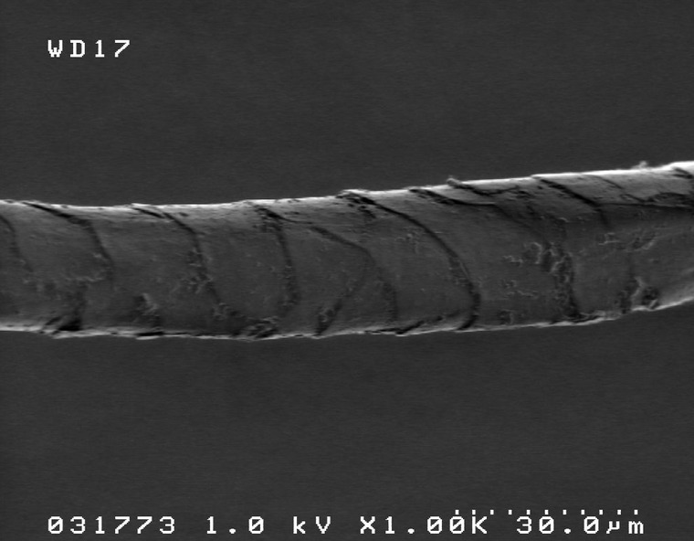 волос волос